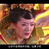 word软件免费下载电脑版
